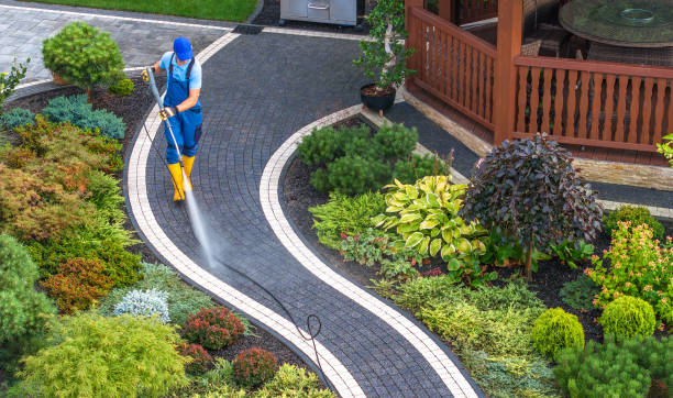 Quinnipiac University, CT Pressure Washing Pros